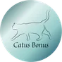 Catus Bonus, retour à l’accueil